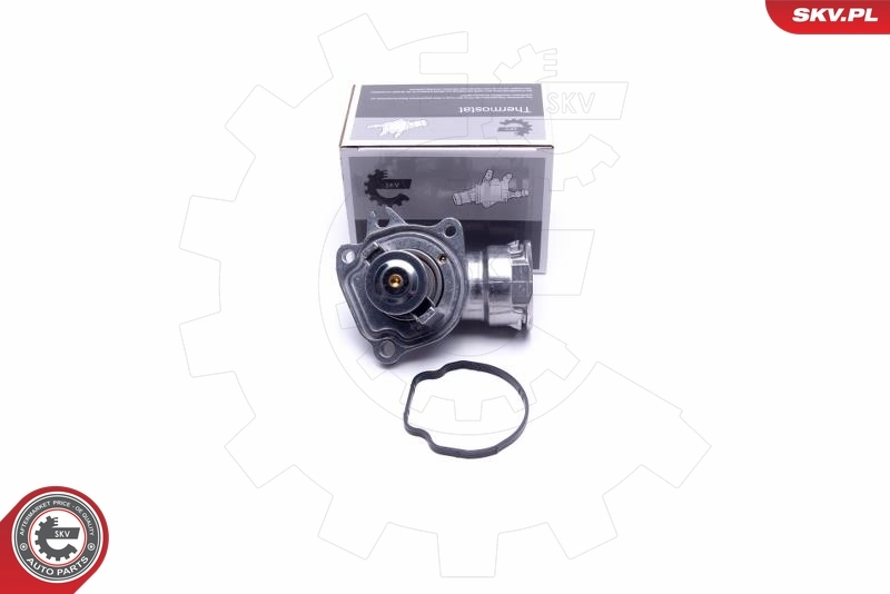 Thermostat, coolant